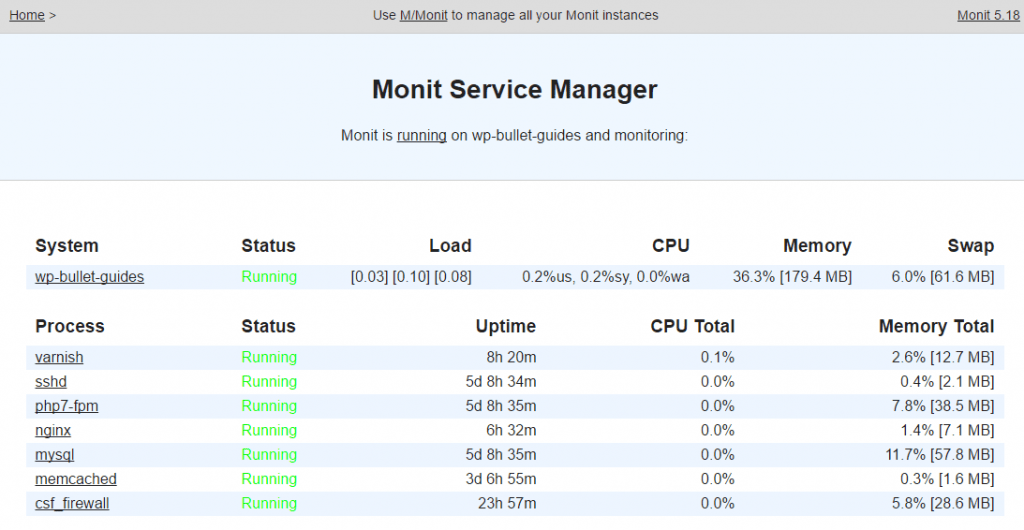 monit program service check