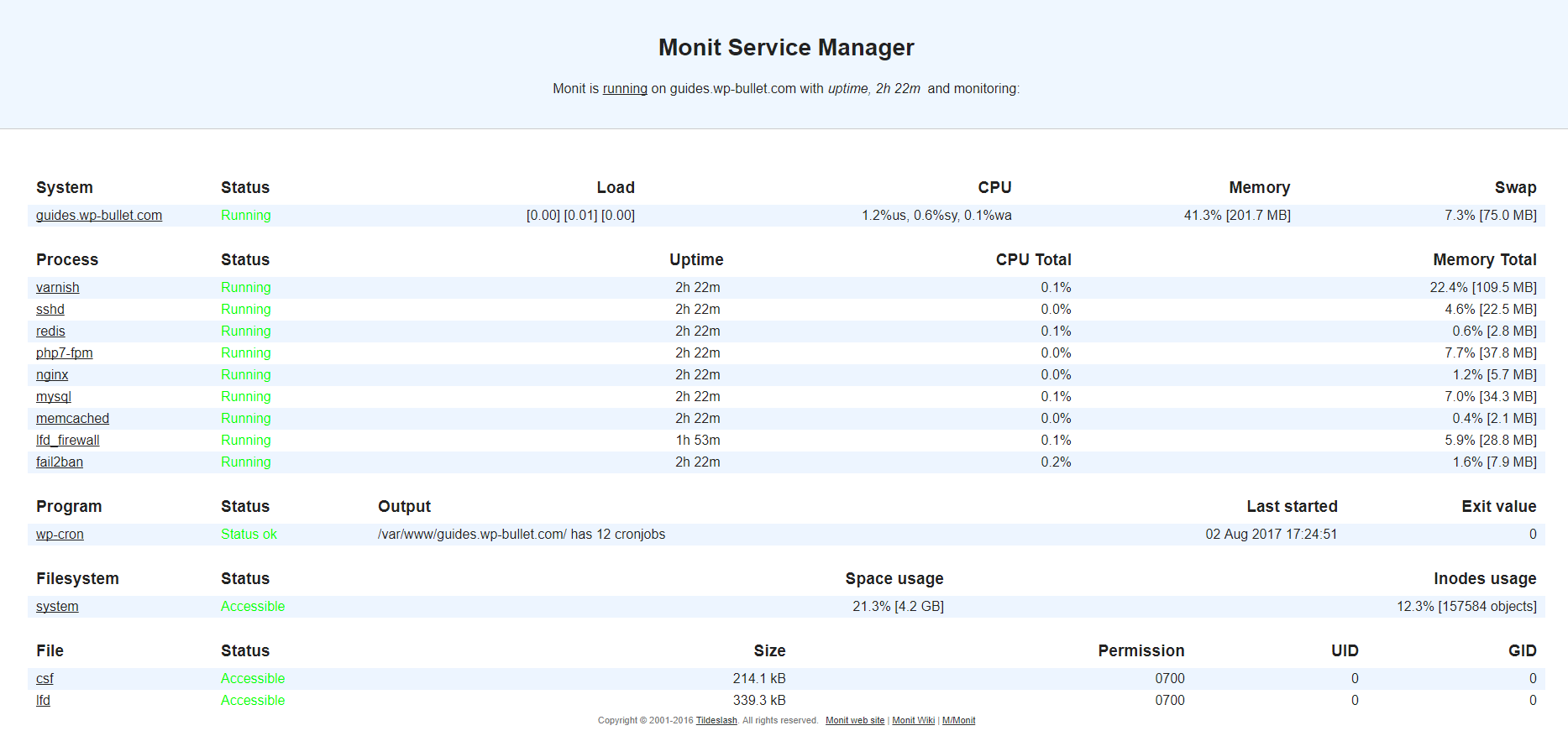 monit program service checks