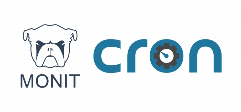 monit program service check monit program service check